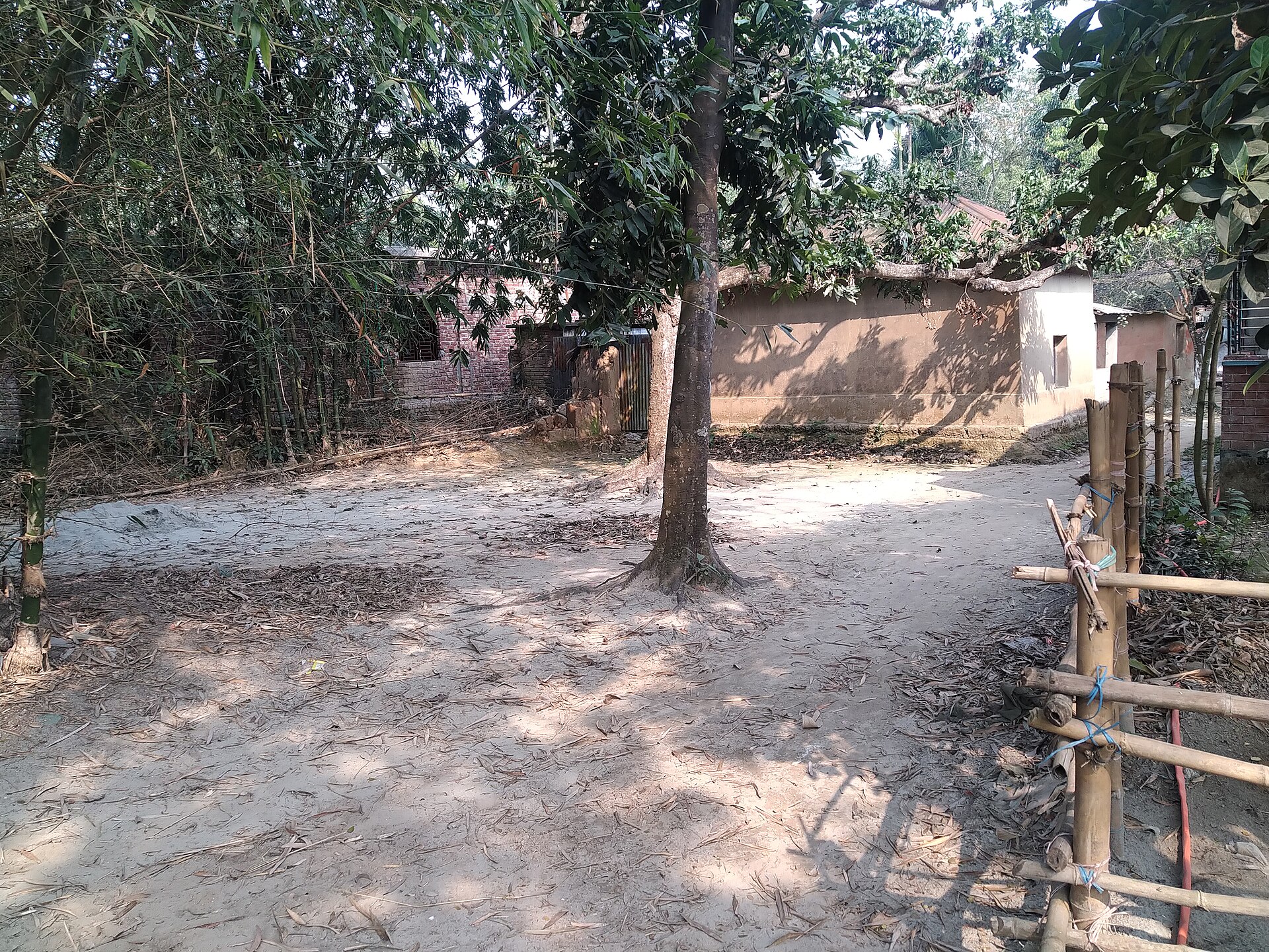 বাংলাদেশের একটি গ্রামের বাড়ি ও উঠান